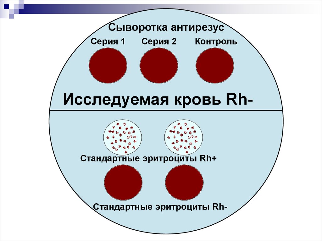 Сыворотка 1 группы крови. Определение группы крови стандартными эритроцитами. Сыворотка антирезус. Стандартные эритроциты. Определение группы крови сыворотками.