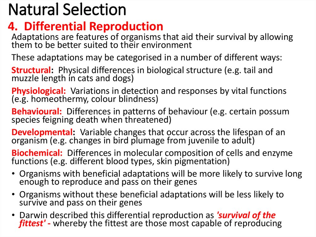 Natural Selection 4. Differential Reproduction