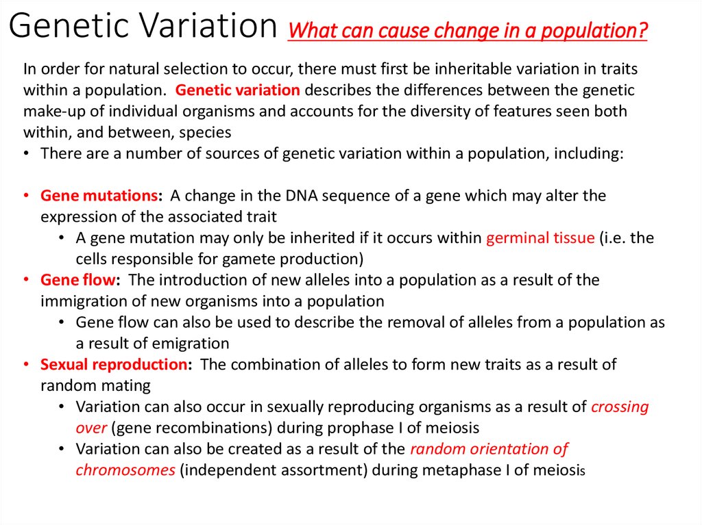 evolution-3-genetic-variation-online-presentation