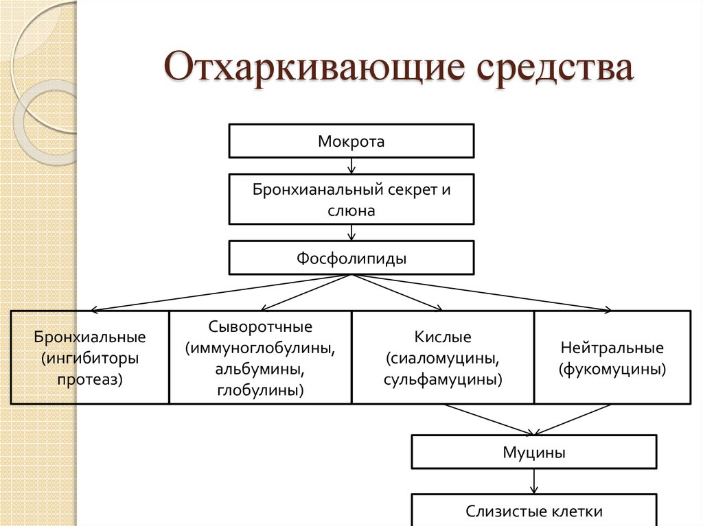 Отхаркивающие и муколитические средства презентация