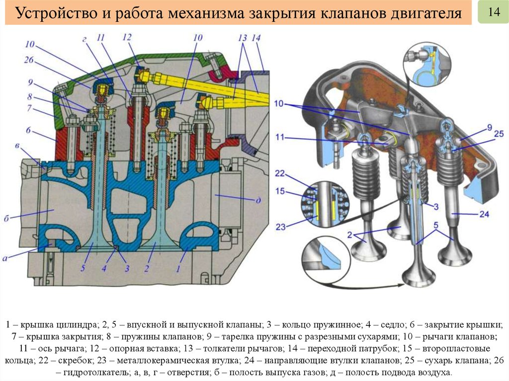 Клапан механизм. Клапанный механизм двигателя. Конструкция клапана двигателя. Принцип работы клапанов в двигателе. Работа клапанов двигателя.