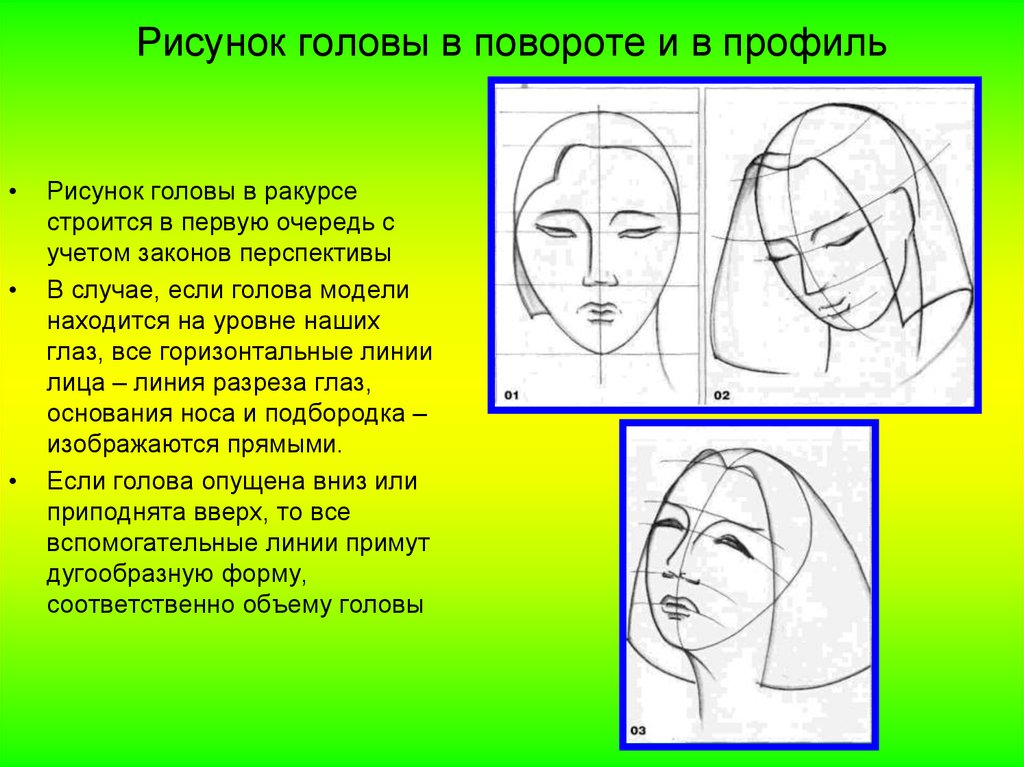 Изображение головы человека в пространстве