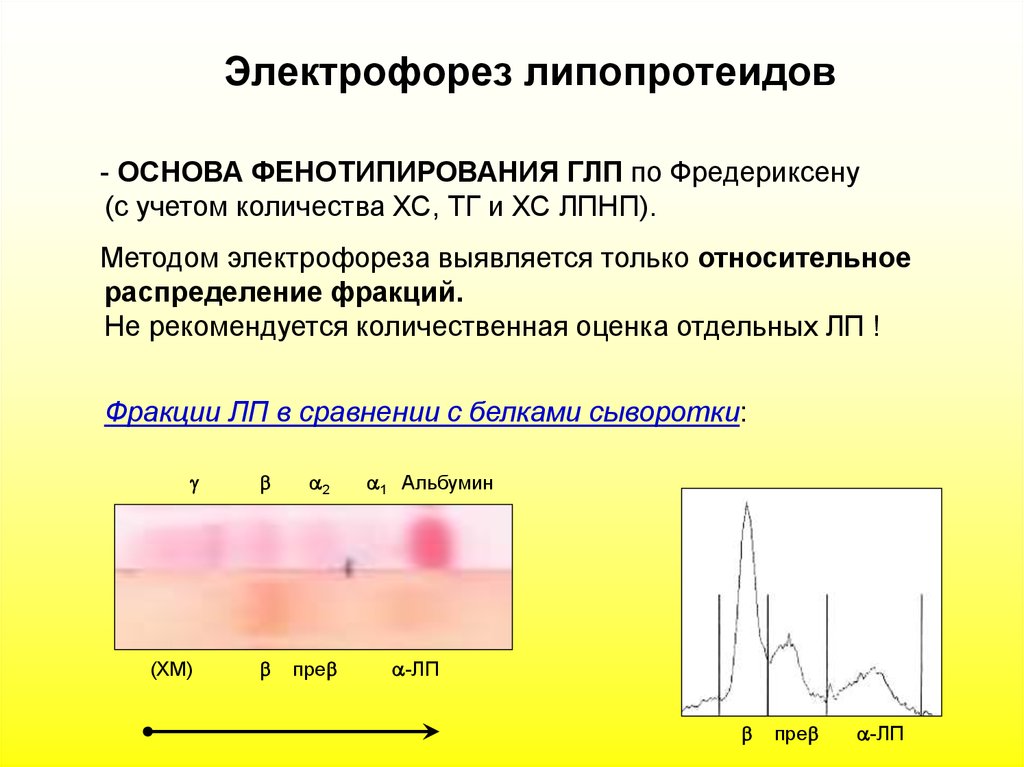 Разделение белков сыворотки крови методом электрофореза. Электрофореза белковых фракций сыворотки крови методы. Электрофорез плазмы крови. Электрофореграмма биохимия. Электрофоретический метод разделения липопротеинов.