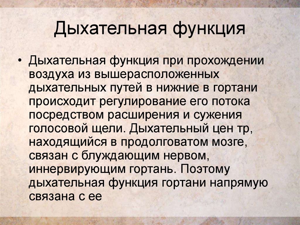 Функции дыхания