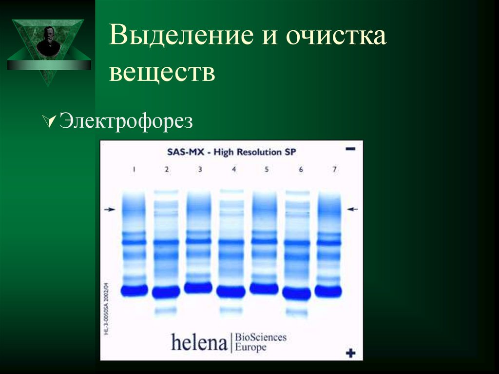 Методы выделения и очистки