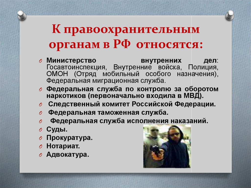 К правоохранительным органам в РФ относятся: