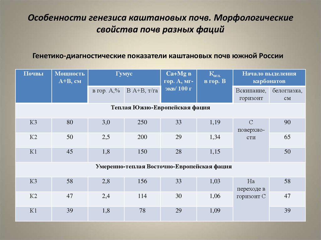 Каштановые почвы условия образования. Характеристика почвы. Свойства каштановых почв. Каштановые почвы характеристика. Характеристика Каштановой почвы.