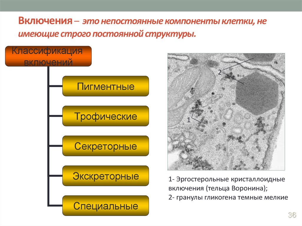 Постоянная структура