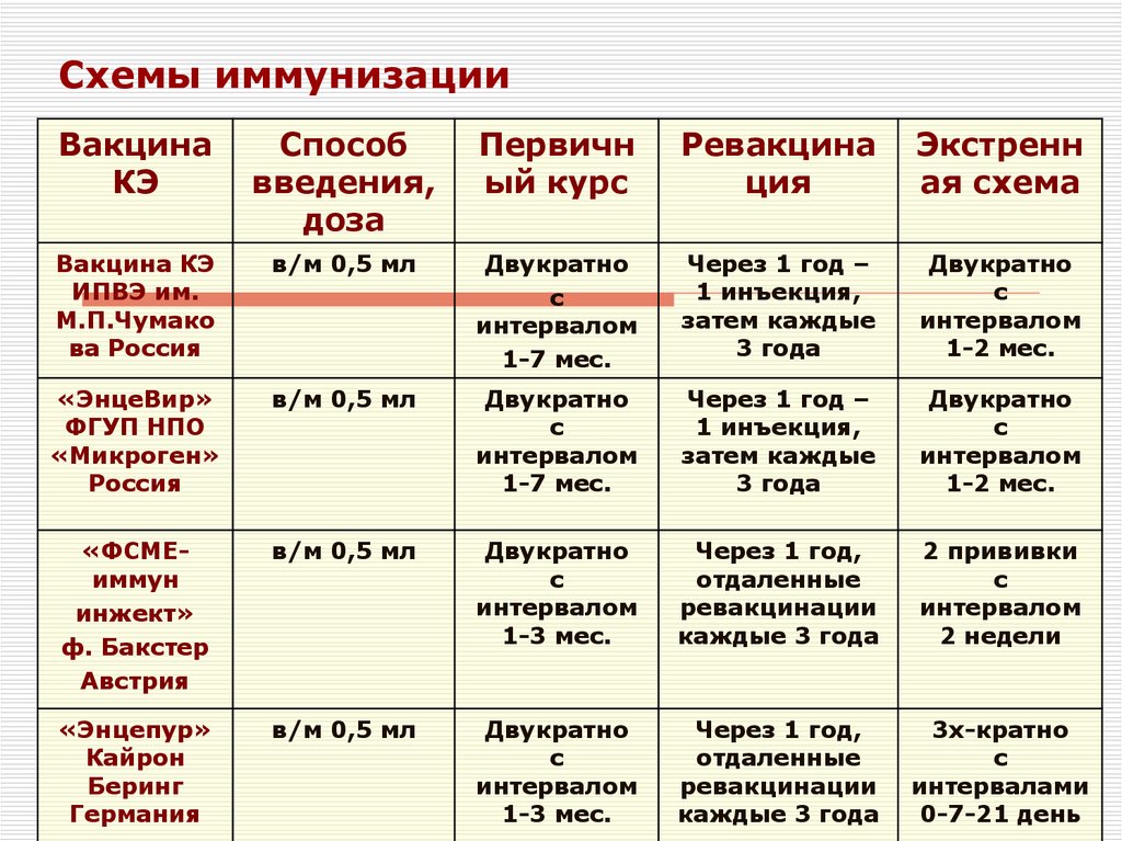 Составление индивидуального плана иммунопрофилактики