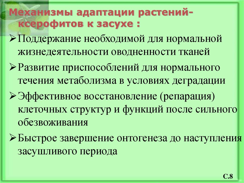 Механизмы растений. Механизмы адаптаций ксерофита. Механизмы адаптации растений. Приспособление растений к засухе. Адаптации растений к засухе.