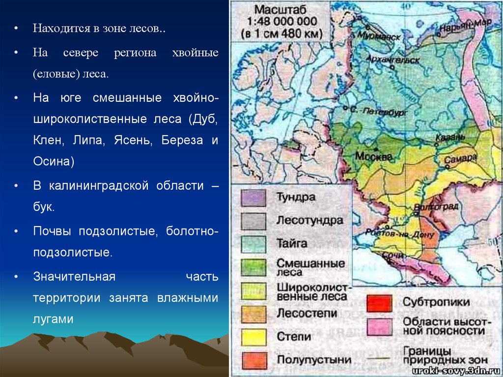 Какой природной зоны нет на европейском юге. Природные зоны европейской части России. Карта природных зон европейской части России. Европейский Юг природныеихоны. Климатическая карта Восточно-европейской равнины.