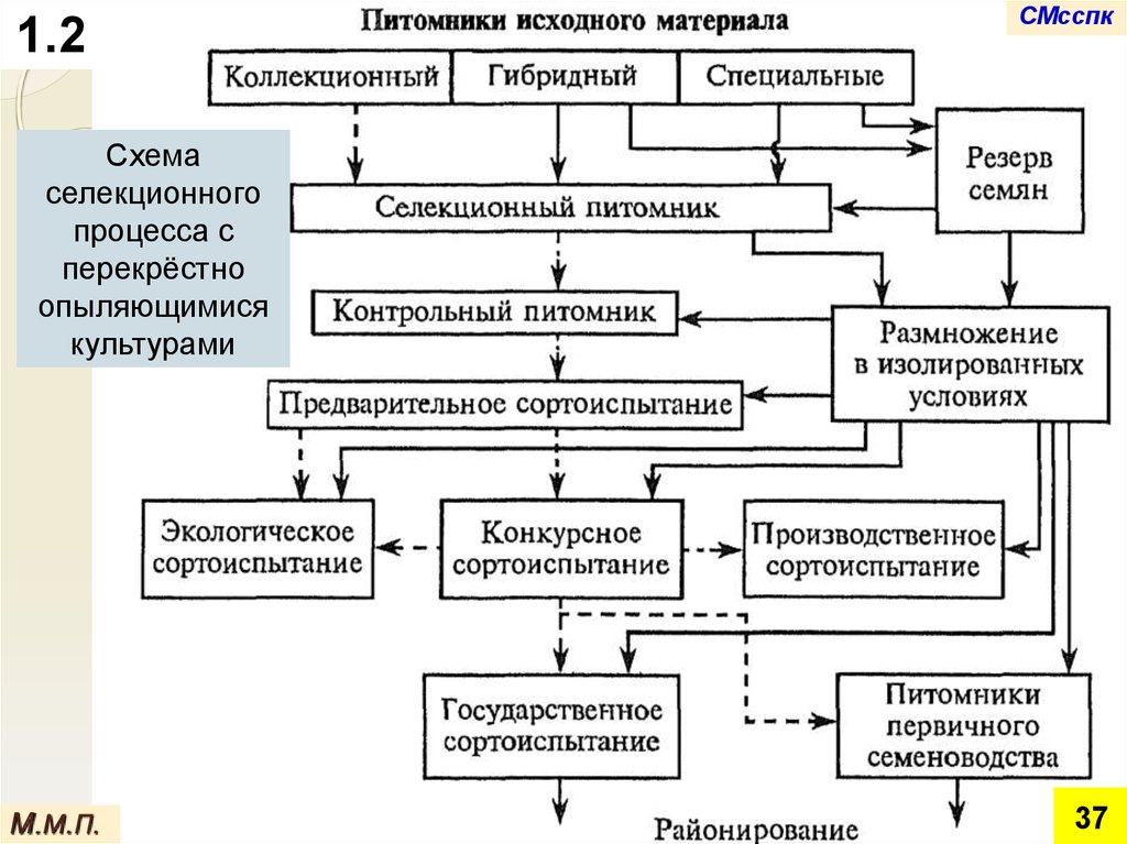 Схема селекционного процесса