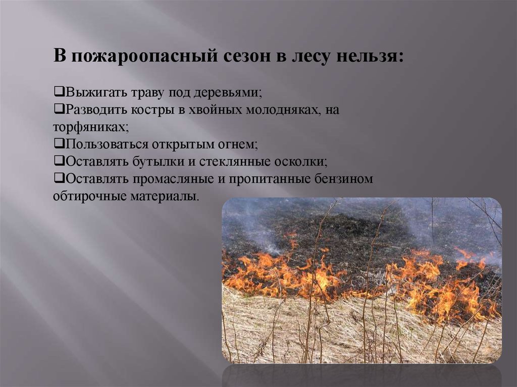 Пожароопасный период это. Пожароопасный период в лесу. Пожароопасный период в лесу памятка. Летний пожароопасный период.