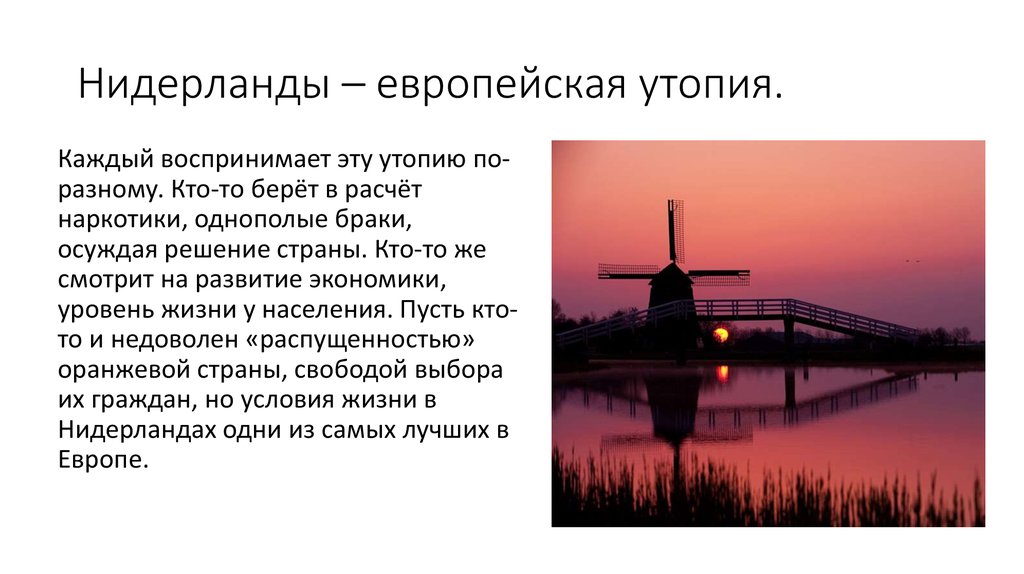 Экономическое развитие нидерландов. Нидерланды презентация. Нидерланды уровень жизни. Уровень экономического развития Нидерландов. Нидерланды форма правления.