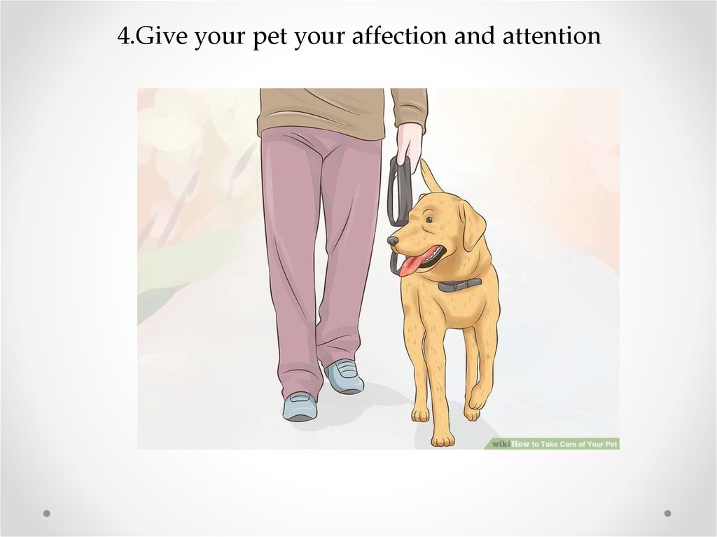 4.Give your pet your affection and attention