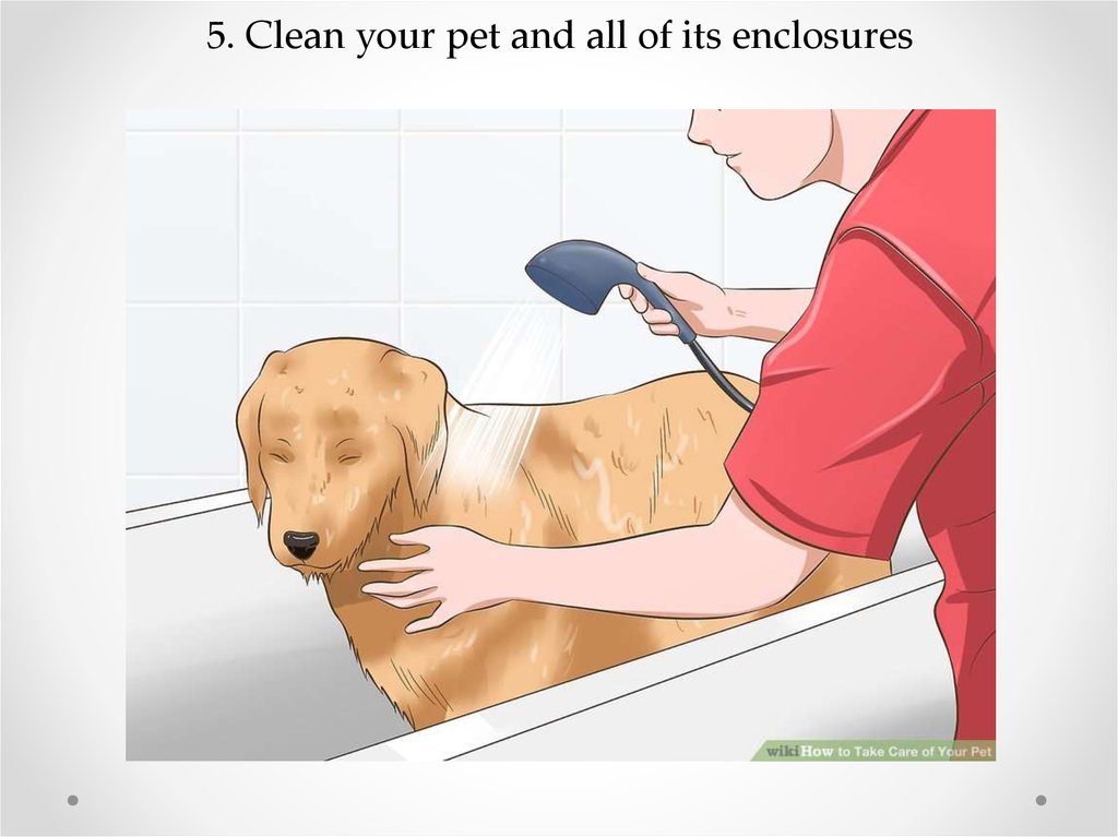 5. Clean your pet and all of its enclosures