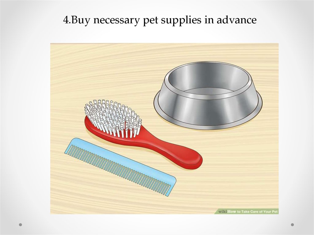 4.Buy necessary pet supplies in advance