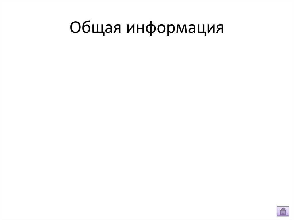 Общая информация