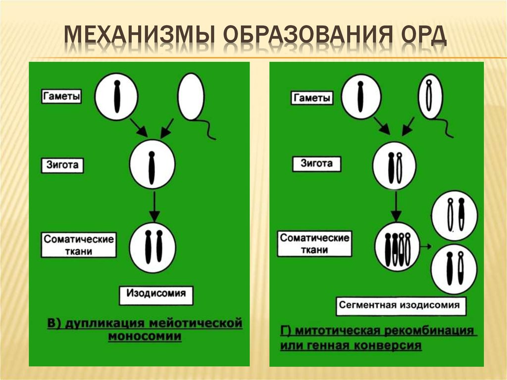 Болезни импринтинга