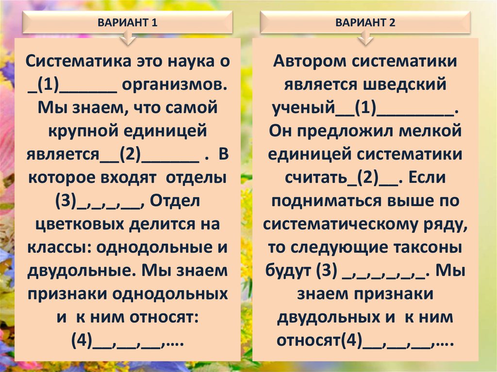 Характеристика однодольных растений