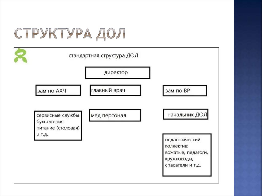 Структура дол