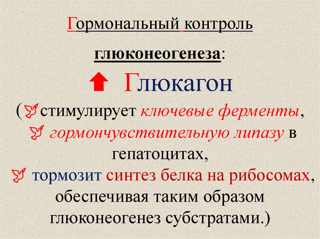 Ферменты глюконеогенеза. Ключевые ферменты глюконеогенеза. Гормональная регуляция глюконеогенеза. Тормозит глюконеогенез. Ферменты глюконеогенеза синтезируются в:.