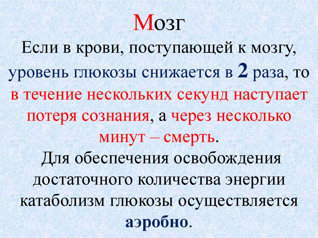 2 раз в течение. Объем крови поступающей в мозг. В течение нескольких секунд. Сколько крови поступает в мозг.