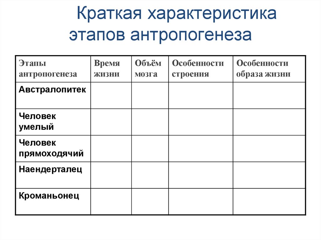 Антропогенез таблица. Характеристика стадий антропогенеза таблица. Таблица основные стадии антропогенеза таблица 11 класс. Таблица по биологии стадии антропогенеза. Таблица сравнительная характеристика стадий антропогенеза.
