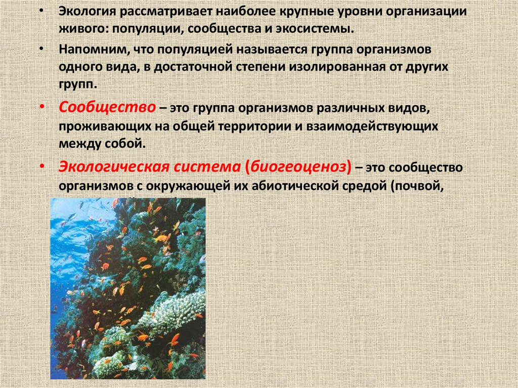 Группа организмов ограниченная в своем. Сообщество это в экологии. Экология сообществ и экосистем. Типы экологических сообществ. Экология популяций и сообществ.