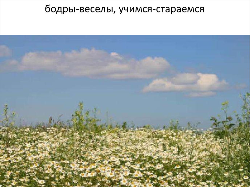 бодры-веселы, учимся-стараемся