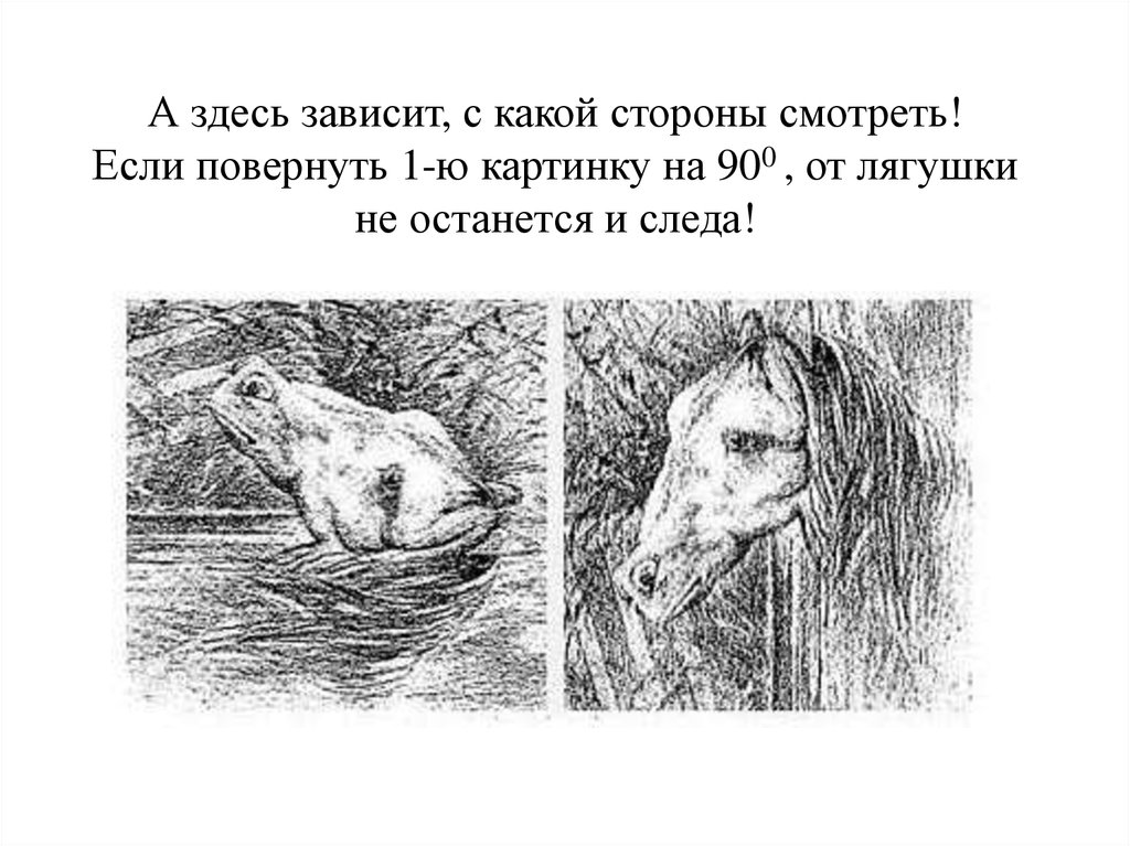 крекотень картинки с одной стороны одно а перевернешь другое нашей стране