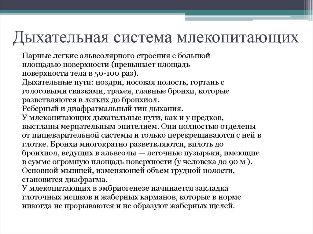 Млекопитающие какое дыхание. Дыхательная система у морских млекопитающих. Проект дыхательная система морских млекопитающих. Органы дыхания млекопитающих кратко. Дыхательная система млекопитающих кратко.