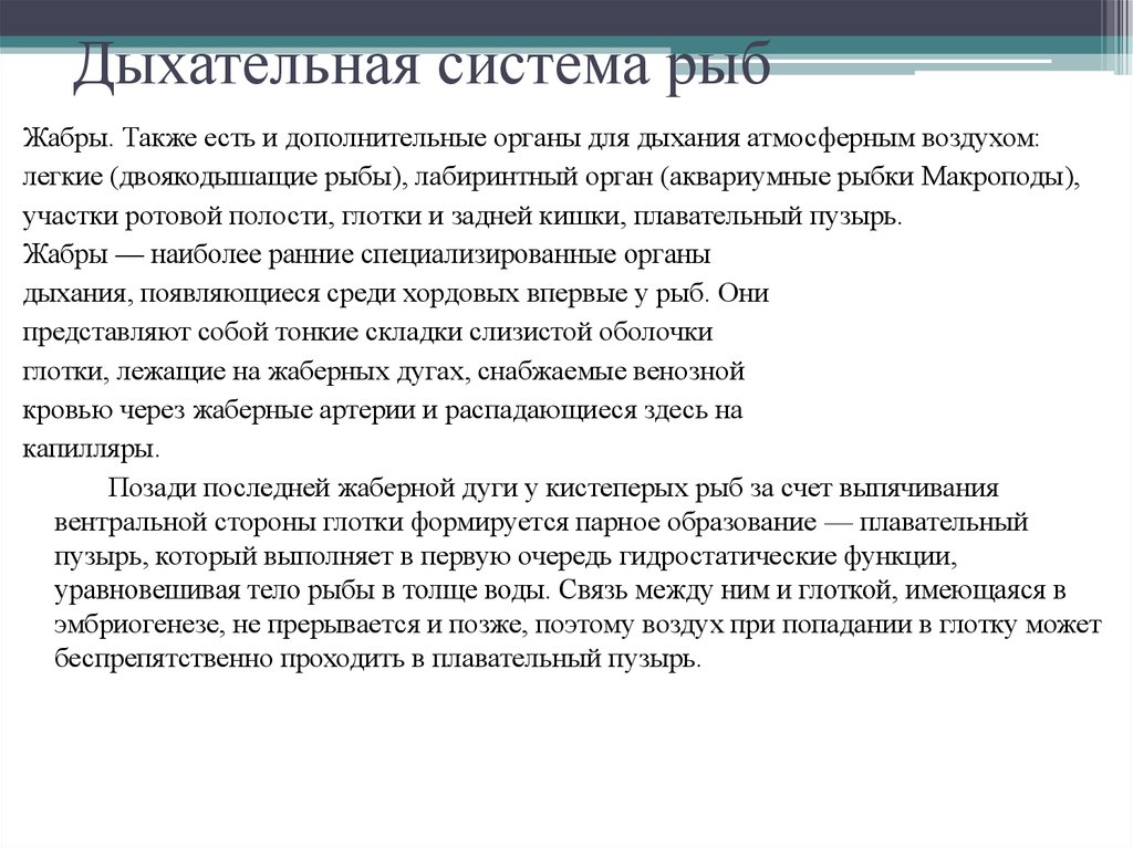 Система дыхания 4 4 4 4. Дыхательная система у рыб 4 класс проект. Дыхательная система у рыб доклад для 4 класса. Дыхательная система рыб кратко. Дыхание рыб кратко.