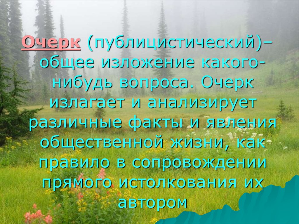 Очерк на тему природа.