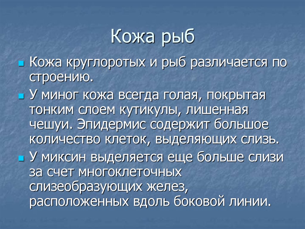 Характеристика кожи. Производные кожи рыб. Кожа и производные кожи рыб. Характеристика кожи рыб. Функции кожи рыб.