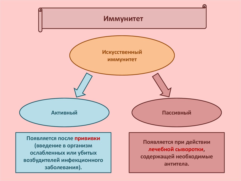 Введение иммунной сыворотки. После введения сыворотки возникает иммунитет какой. Иммунитет после введения сыворотки. Искусственный пассивный иммунитет возникает после введения. После введения лечебной сыворотки формируется иммунитет.