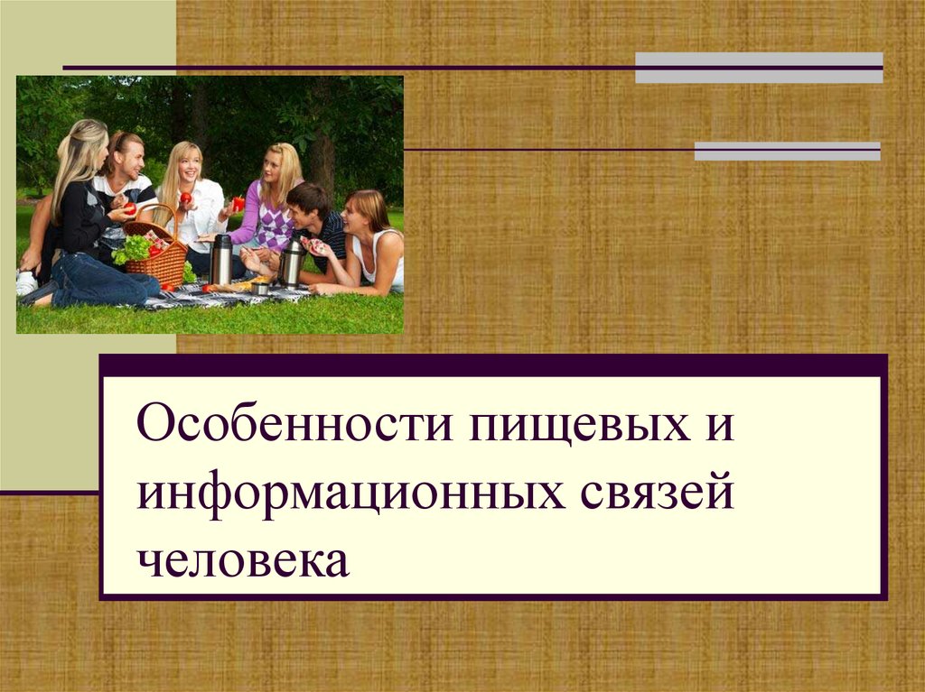 электронные архивы музеев. презентация услуги видеотека. информационные связи человека. информационные связи человека. информационные связи в системах различной природы.