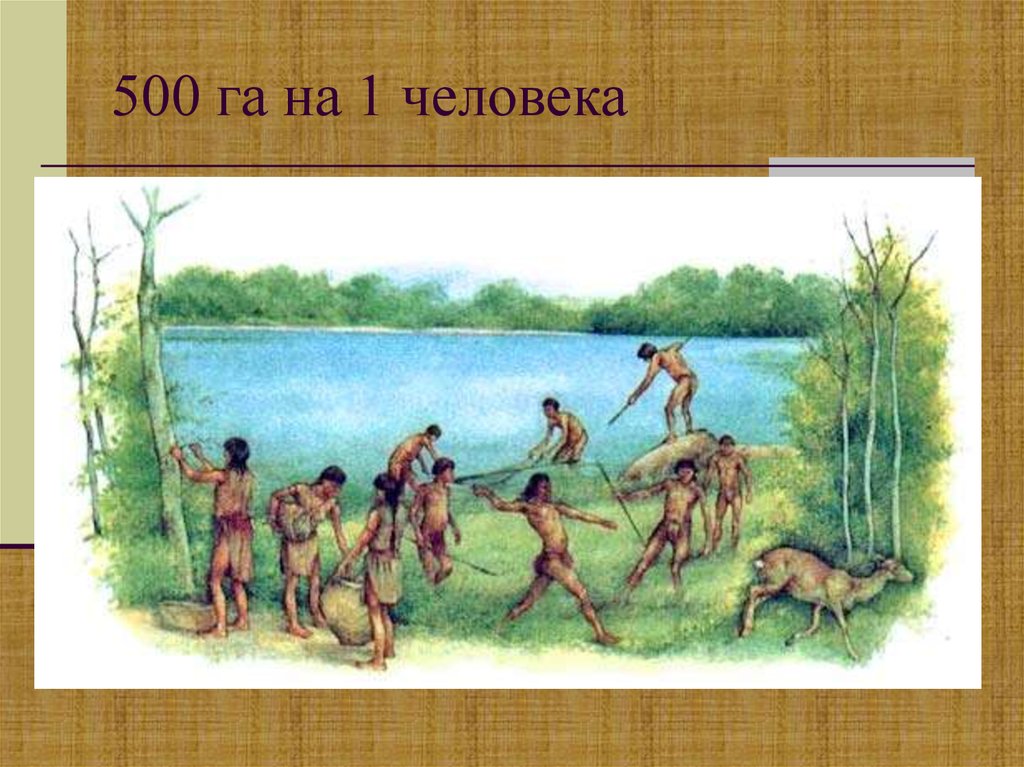 500 га на 1 человека