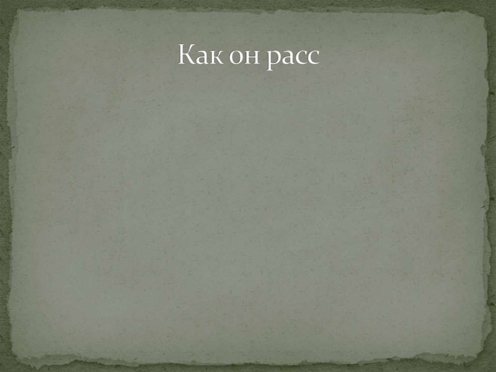 Как он расс