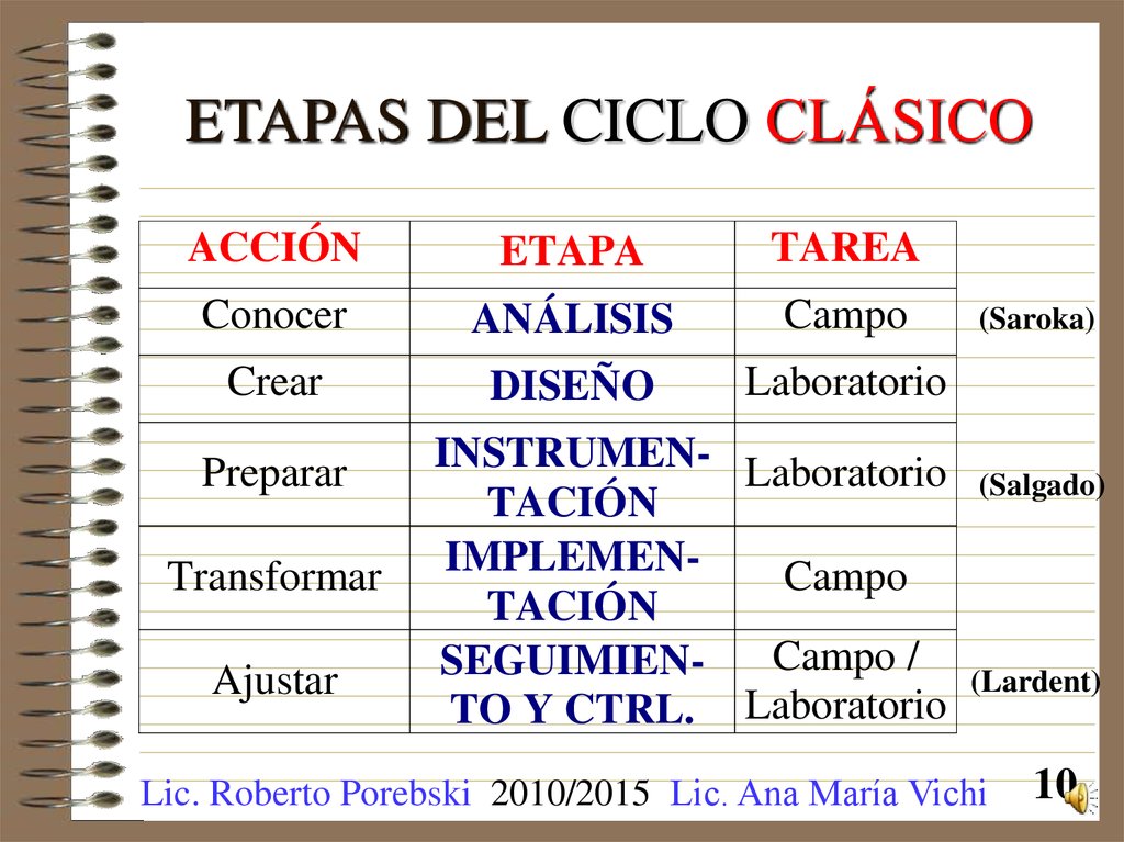 ETAPAS DEL CICLO CLÁSICO