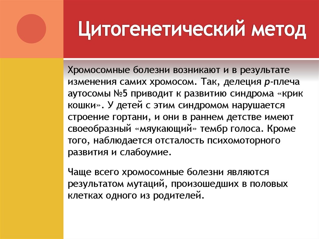 Методы генетики человека презентация 10 класс