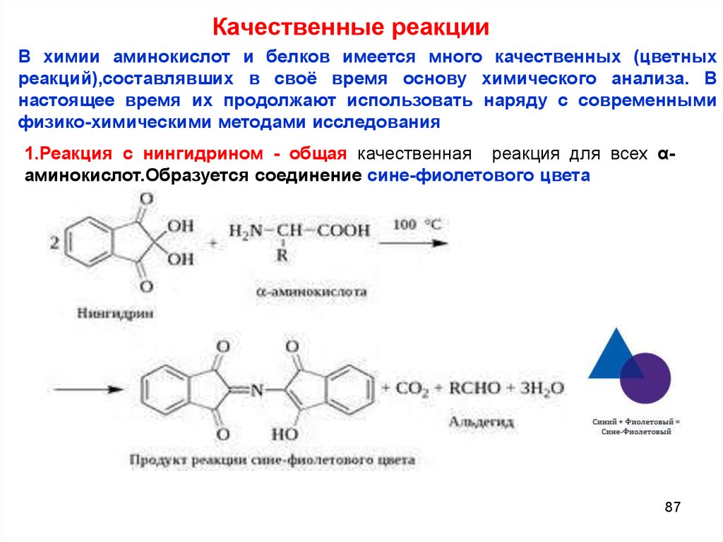 Полипептиды с азотной кислотой дают фиолетовое окрашивание. Схема реакции с нингидрином. Общая качественная реакция на аминокислоты. Реакция для обнаружения ароматических аминокислот. Качественные реакции на аминокислоты пептиды белки.