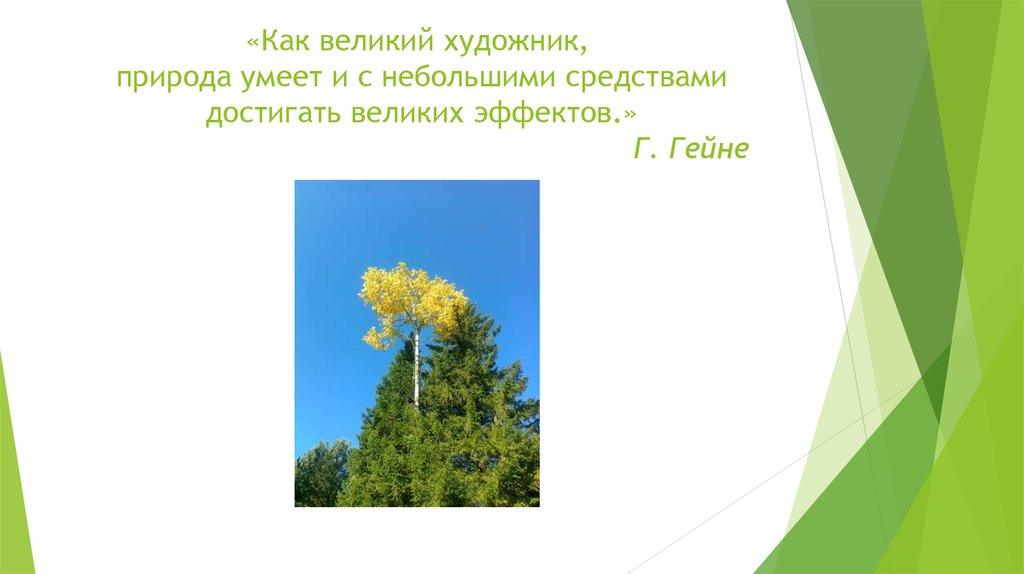 «Как великий художник, природа умеет и с небольшими средствами достигать великих эффектов.»  Г. Гейне