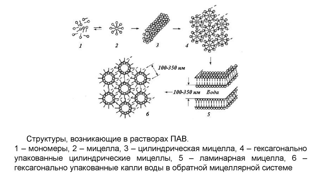 4 рисунок 2 4 структура. Строение мицелл пав. Структура полимерных мицелл. Цилиндрические мицеллы пав. Образование мицелл.