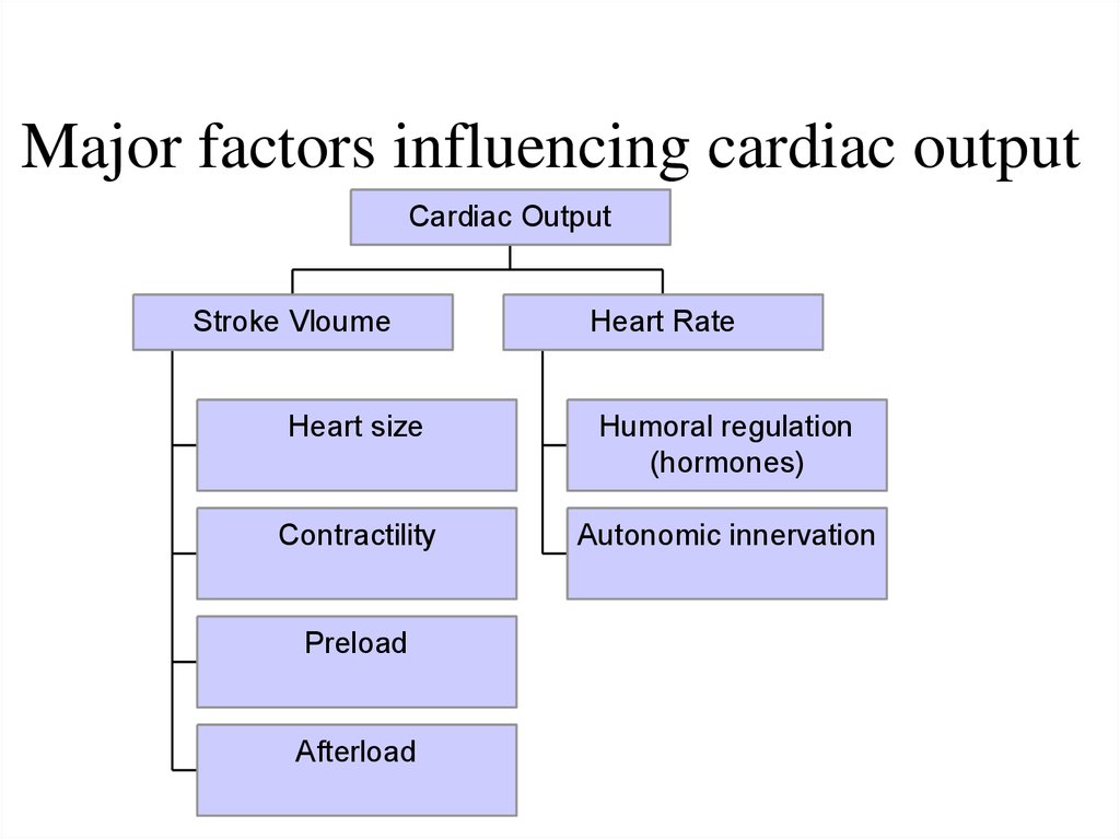 Major factor. Table influence of humoral Factors on main Vessels.