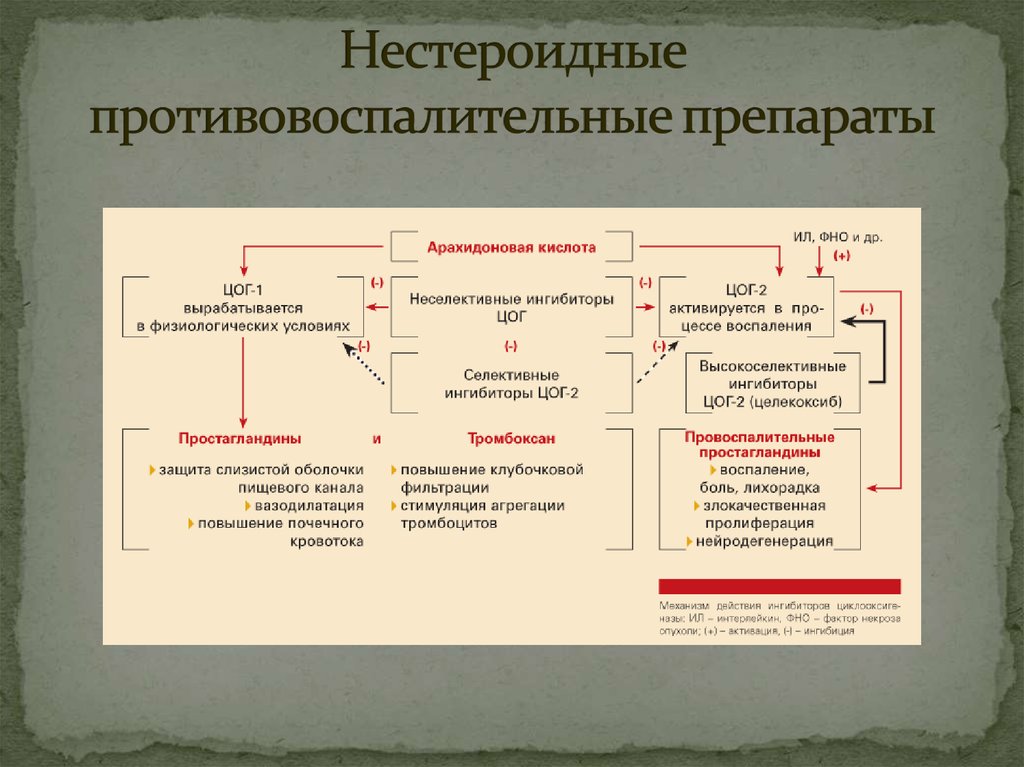 Нпвс презентация фармакология