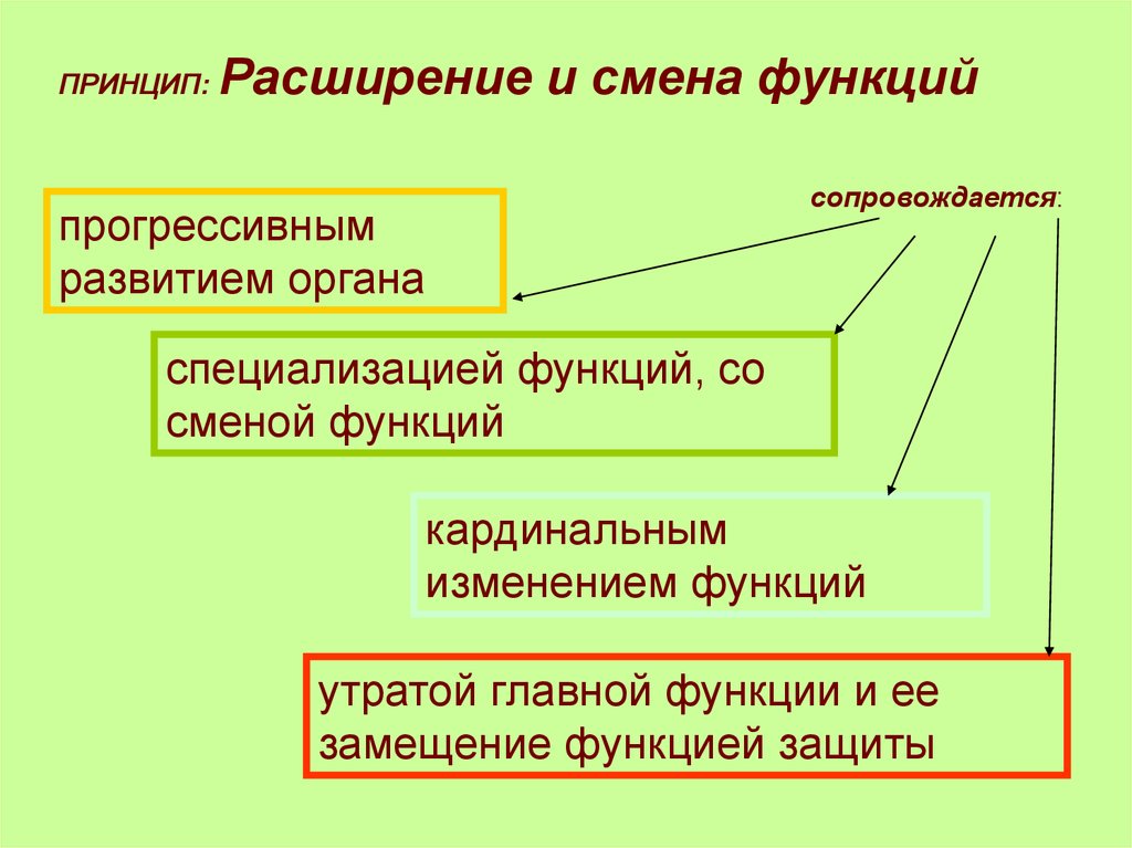 Смена функций. Принцип расширения и смены функций. Способы преобразования органов в филогенезе. Функции специализации. Морфофункциональная изоляция.