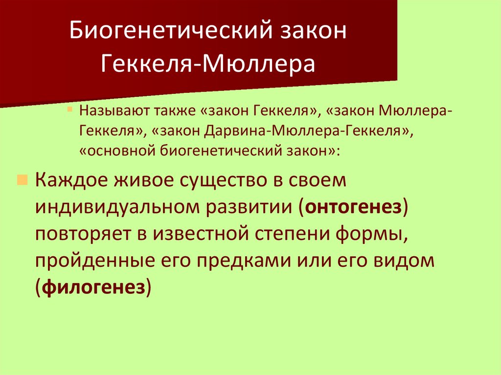 Доказательство биогенетического закона