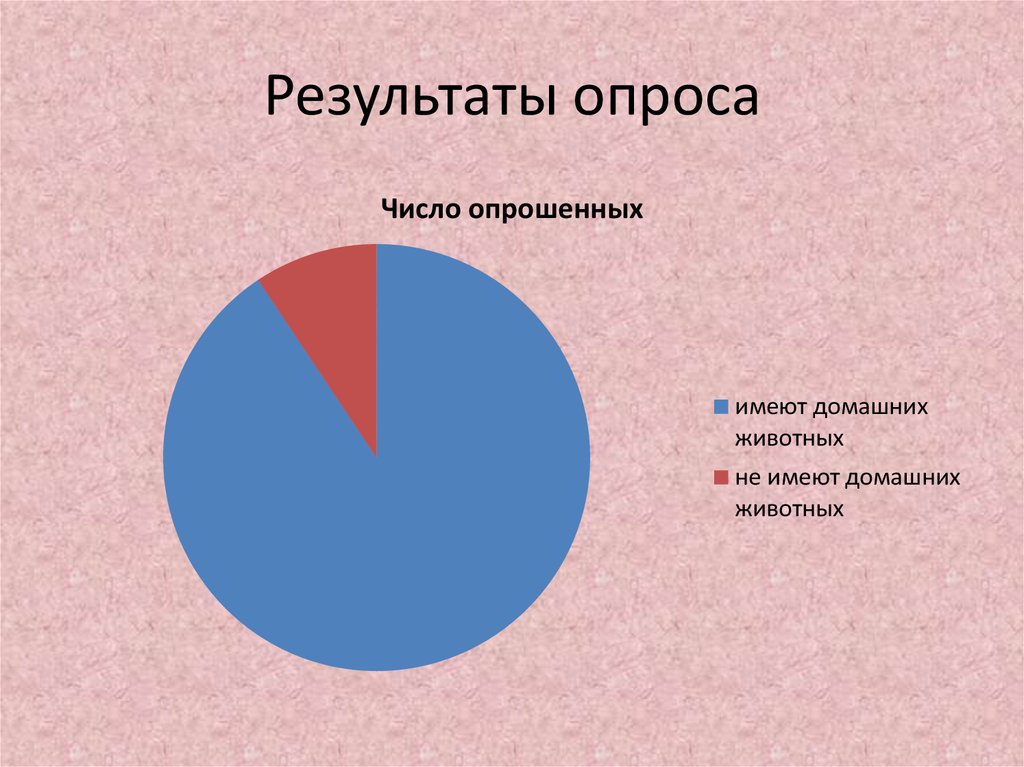 Анкетирование по проекту бездомные животные