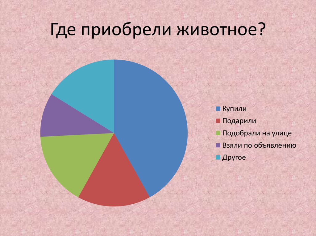 Анкетирование по проекту бездомные животные